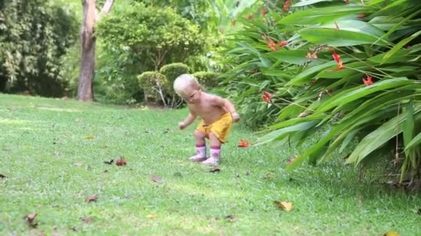 Caminhada do bebê na grama — Vídeo de Stock