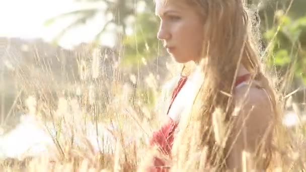 Chica en la hierba alta — Vídeo de stock
