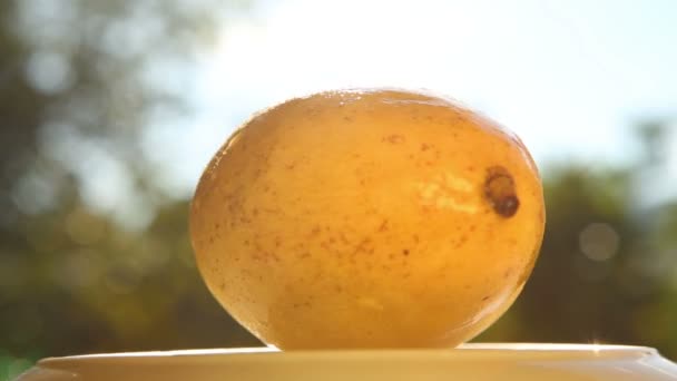 Mangue posée sur la plaque tournante — Video