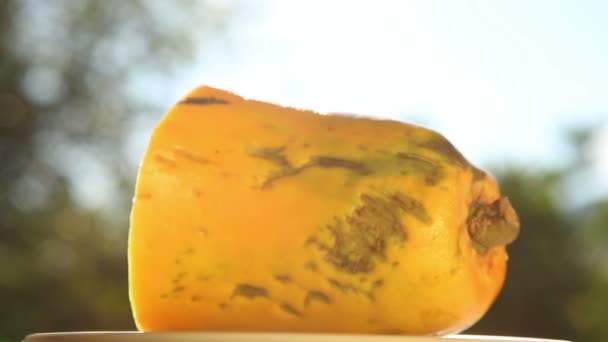 Papaya zur Hälfte rotiert — Stockvideo