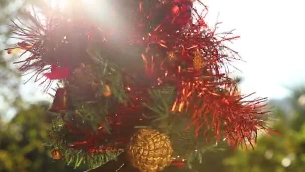 Árbol de Navidad — Vídeo de stock