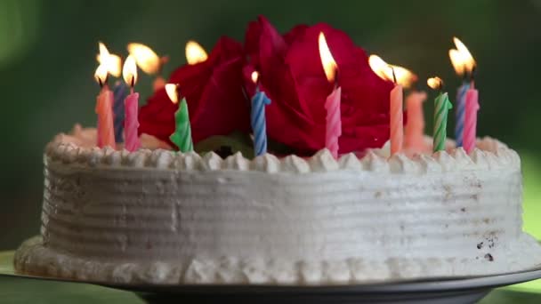 Cake with burning candles — Stock Video