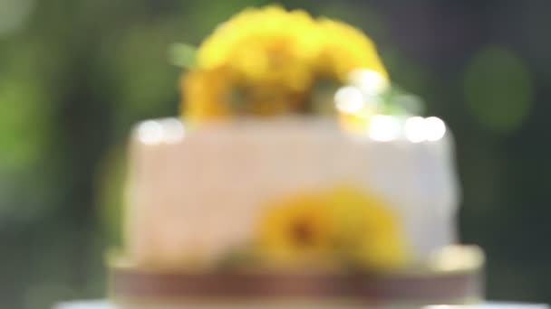 Белый сливочный торт — стоковое видео