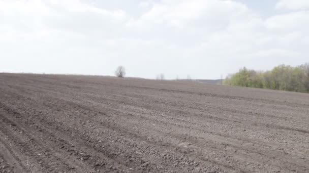 Tractor con maceta — Vídeo de stock