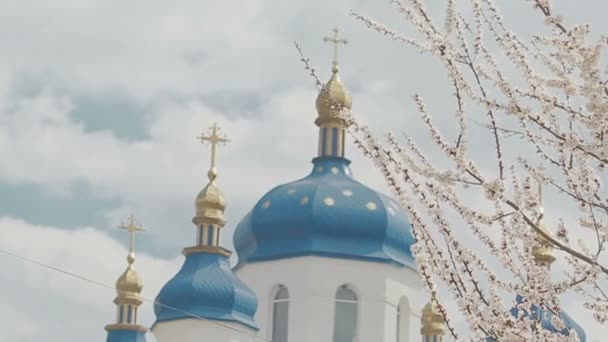 Monasterio de Vydubetsky en Kiev — Vídeo de stock