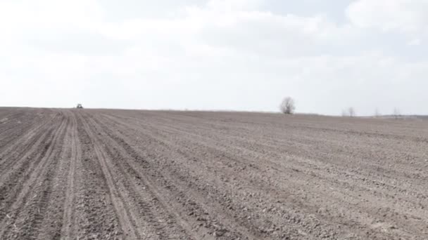 Schwarzes landwirtschaftliches Feld — Stockvideo