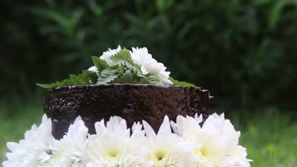 Pastel de chocolate decorado — Vídeo de stock
