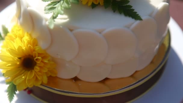 Bílá krémová dort — Stock video