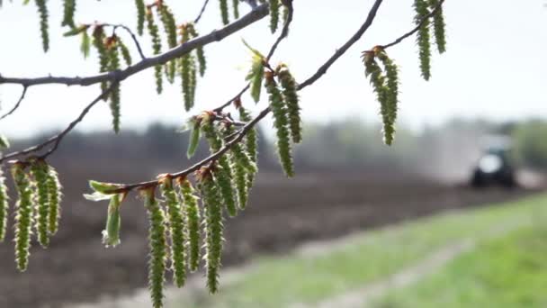 Trattore arare il campo con polvere — Video Stock