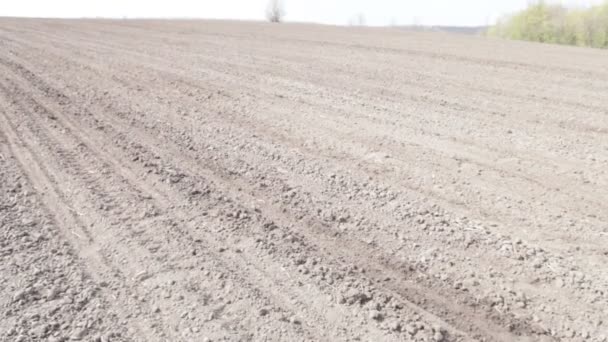 Voorjaar grenzeloze zwarte veld — Stockvideo