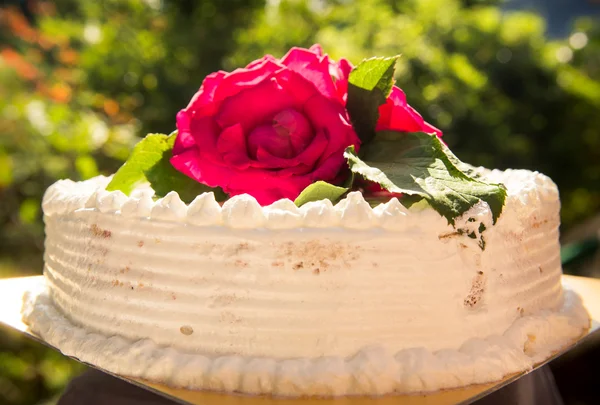Creamy delicious cake — Stock Photo, Image