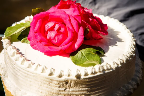 Creamy delicious cake — Stock Photo, Image