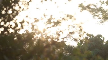 aracılığıyla günlük güneşlik bırakır