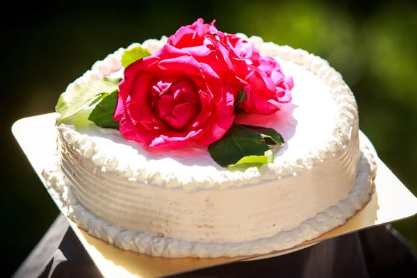 White creamy delicious cake — Stock Photo, Image