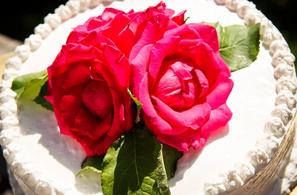 White creamy delicious cake closeup — Stock Photo, Image