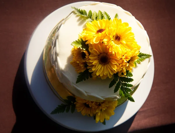 White creamy delicious cake — Stock Photo, Image