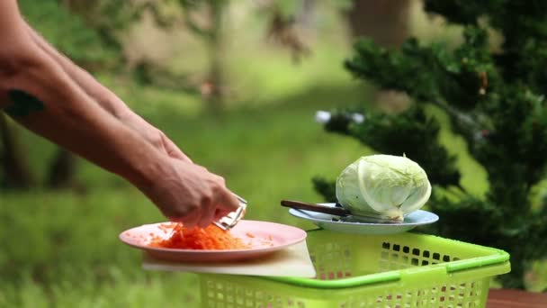 Kochen ukrainische Suppe Borschtsch — Stockvideo