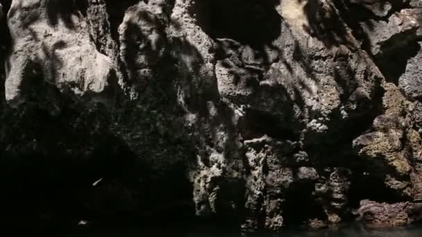 岩の上の太陽のまぶしさ — ストック動画
