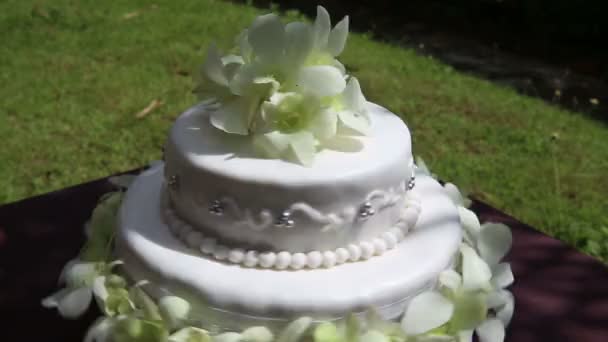 Όμορφη γαμήλια τούρτα — Αρχείο Βίντεο