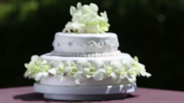 Bolo de casamento bonito — Vídeo de Stock