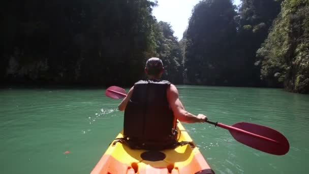 Man rowing kayak — Stock Video