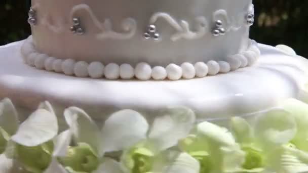 Bella torta nuziale — Video Stock