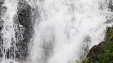 şelale, tropikal orman