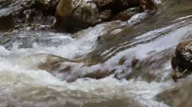 şelale, tropikal orman