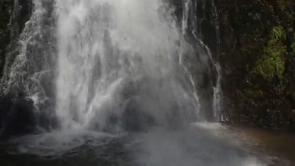 Cascade dans la jungle tropicale 