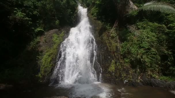 Waterfall  in  tropical jungle — Stock Video