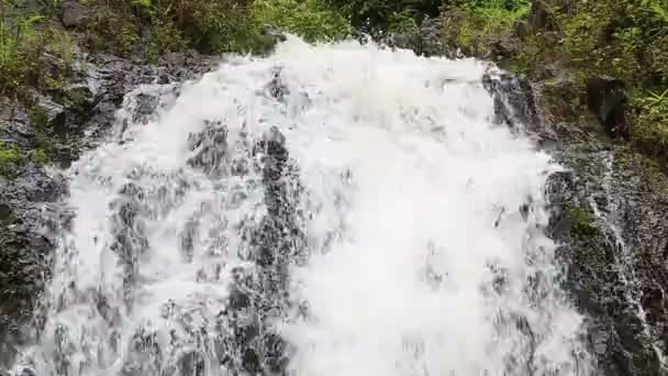 Cascata nella giungla tropicale — Video Stock