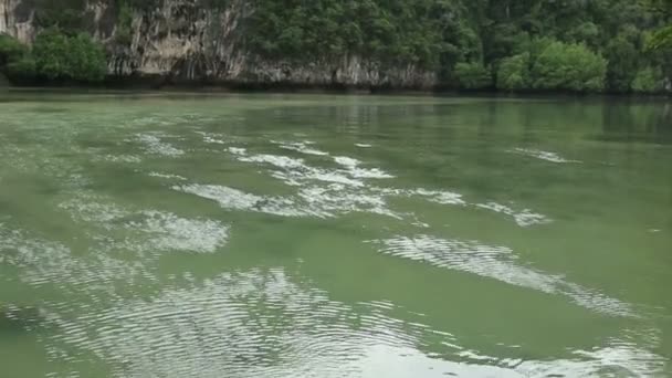 Grünes Wasser im Meer — Stockvideo