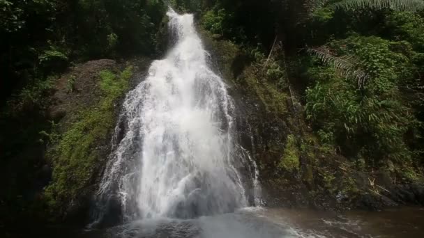 Водопад в тропических джунглях — стоковое видео