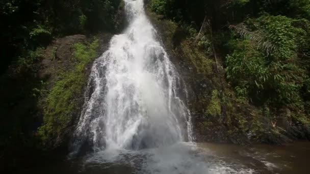 Cascada en selva tropical — Vídeos de Stock