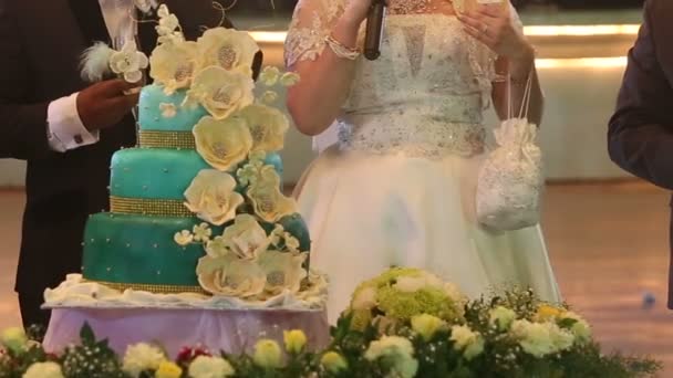 Bride and groom at wedding cake — Stock Video