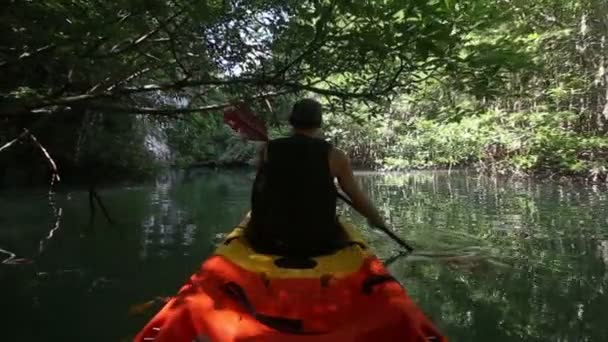 Hombre viajando en kayak — Vídeos de Stock