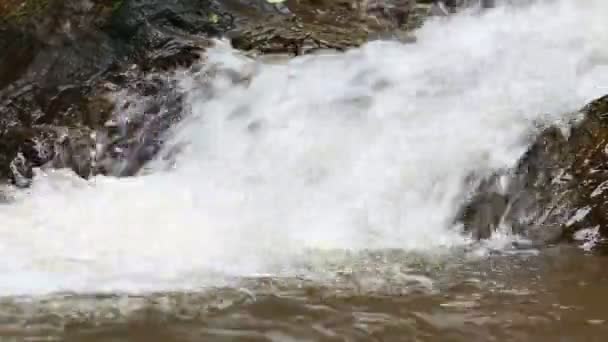 Cascada en selva tropical — Vídeo de stock