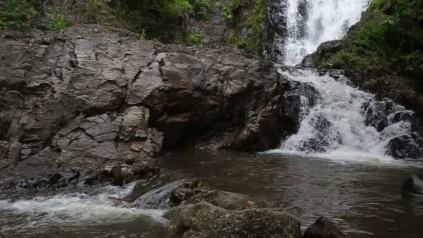 Waterval in tropische jungle — Stockvideo