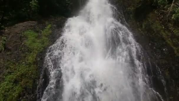 Waterfall  in  tropical jungle — Stock Video