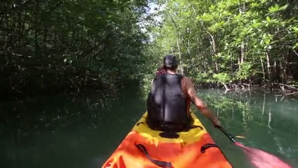 Hombre viajando en kayak — Vídeos de Stock