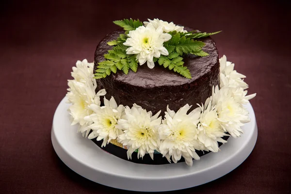 Chocolate delicious cake — Stock Photo, Image