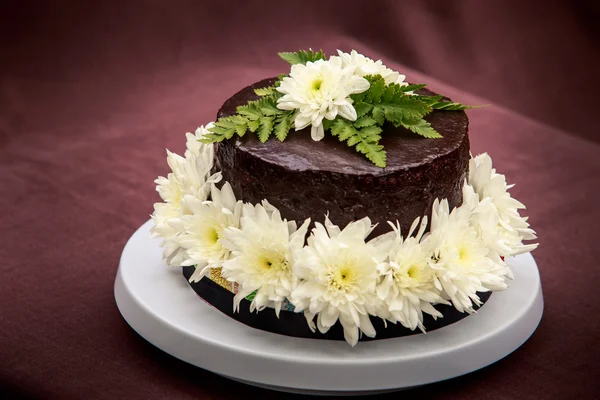 Chocolate delicious cake — Stock Photo, Image