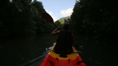kürek Kayık mangrov ağaçlar içinde adam