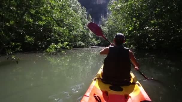 Uomo canottaggio kayak in alberi di mangrovie — Video Stock