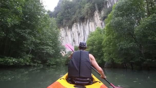 Uomo canottaggio kayak in alberi di mangrovie — Video Stock