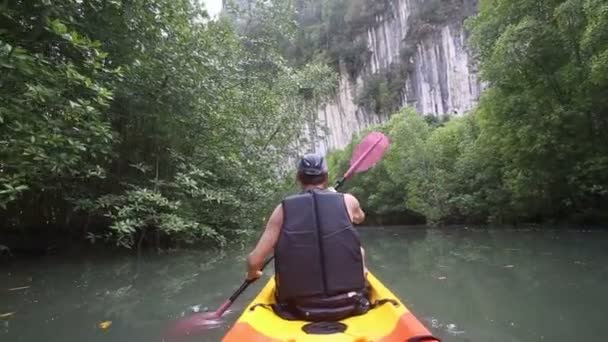 Uomo canottaggio kayak in alberi di mangrovie — Video Stock