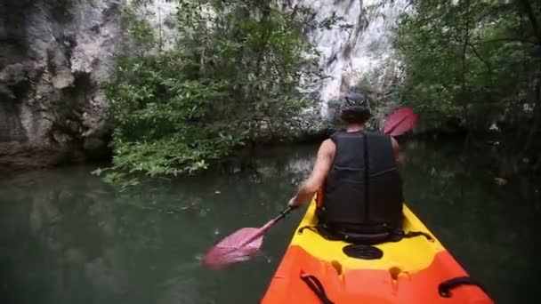 Hombre remando kayak en manglares — Vídeo de stock