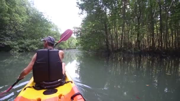 Uomo canottaggio kayak in alberi di mangrovie — Video Stock