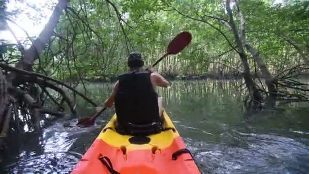 Uomo canottaggio kayak in alberi di mangrovie — Video Stock