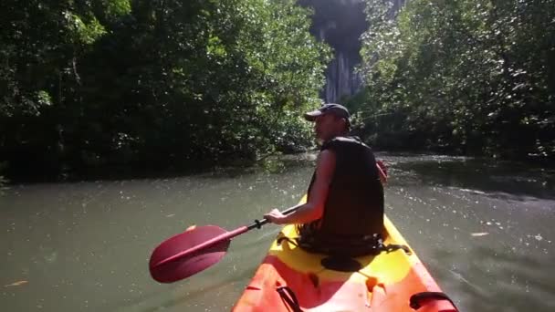 Man rowing  kayak in mangrove trees — Stock Video